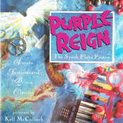 Purple Reign - The Synth Plays Prince