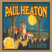 Even A Palm Tree by Paul Heaton