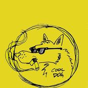 Cool Dog