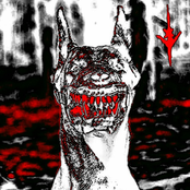 K9 - Single