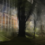 verdadeiramente curitibano.