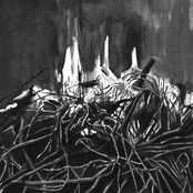 If I Stop Moving, I Will Die