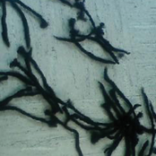 Dreads on the Ground