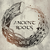 Ancient Roots