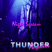 Night Scream