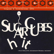 Theft by The Sugarcubes