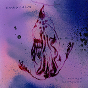 Chrysalis