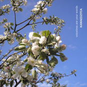 Voiceless Are Your Words