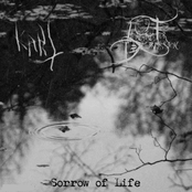 Sorrow Of Life (Split)