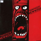 The Big Voice Of New Noise