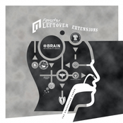 Leftover Extensions (PTDM007, 2008)