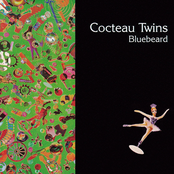 Bluebeard cover