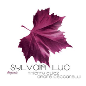 Song For Marylise by Sylvain Luc