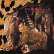 Wish You Were Here by Dead Or Alive