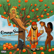 Orange Season