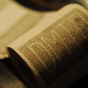 Ob hier wohl wilde Wutzen weilen?