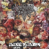 Dissolved In Substance (EP)