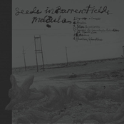 Mácula // Seeds And Barren Fields