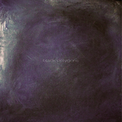 Black Polygons