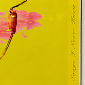 Boyscoutmarie: Songs I Never Knew