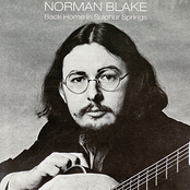 Bringing In The Georgia Mail by Norman Blake