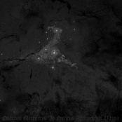 Qvantvm Mortifervs In Nvclevs Atramentvm Vltima (Disk II)