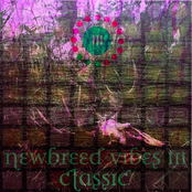 Newbreed Vibes III: Classic