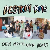 Destroy Boys - Open Mouth, Open Heart Artwork