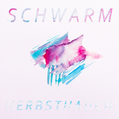 Schwarm