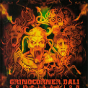 Grindcorner Bali Compilation
