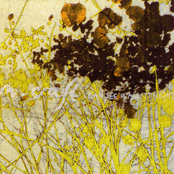 I Can See It All Tonight