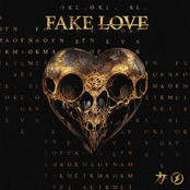 Fake Love