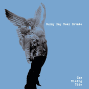 Faces In Disguise by Sunny Day Real Estate