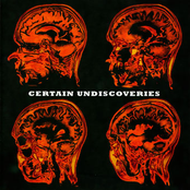 Certain Undiscoveries