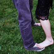 imagine like 12 dogs running around on top of you