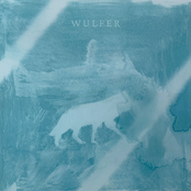 Wulfer