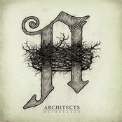 Even If You Win, You're Still A Rat by Architects