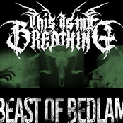 This Is Me Breathing: Beast of Bedlam