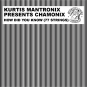 How Did You Know (77 Strings) (Kurtis Mantronik Presents Chamonix)