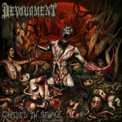 Heaving Acid by Devourment