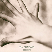 Wild Horses by The Sundays