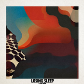 Losing Sleep