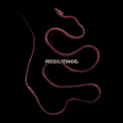 RESILIENCE. [Explicit]