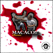 Macaco!?