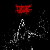 Verta syvyyksien Mestarille