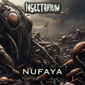 Nufaya