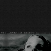 The Bog (Bigod20 cover)
