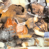 Wide Opened Thoraco-Abdominal Tract/Bathed In Hecatombic Concoctions - Split CD