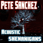 Acoustic Shenanigans