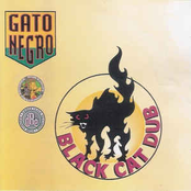 Blood Is Thicker Than Water by Gato Negro